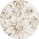 Nataly Moya profile picture